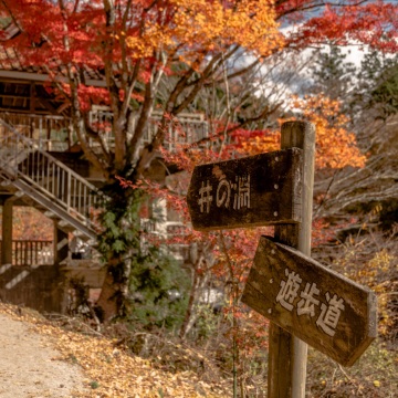 日本美麗的秋景