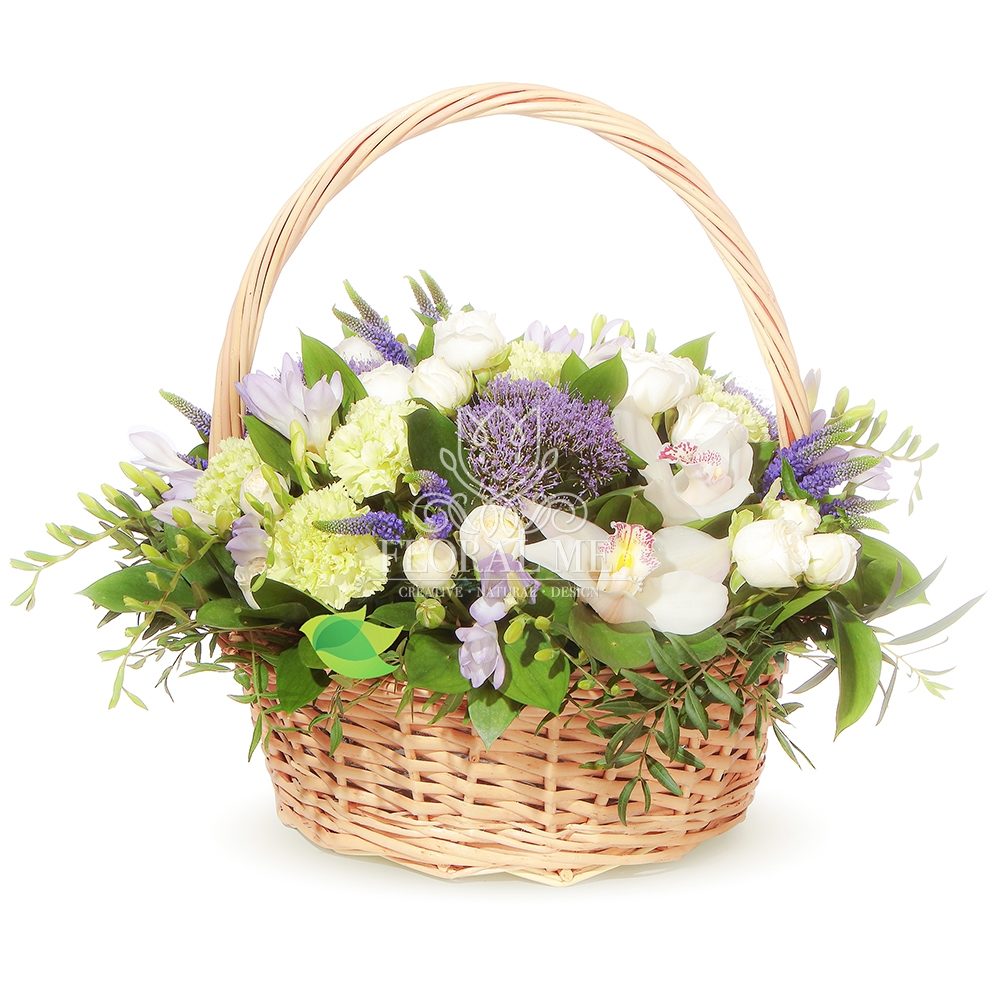 Phalaenopsis Basket | Floral Me