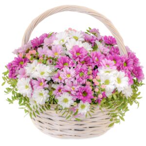 Colorful Chrysanthemum Basket | Floral Me